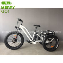 48V 500W Three Wheel Electric Bicycle with Fat Tyre